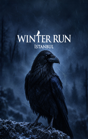 Winter Run İstanbul V.